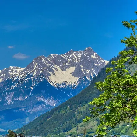 Mozart 3 - By Alpen Daire